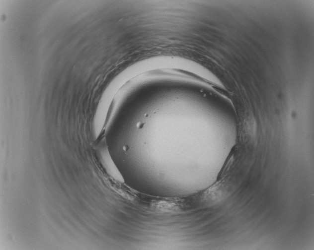 X0000054440180200508270022