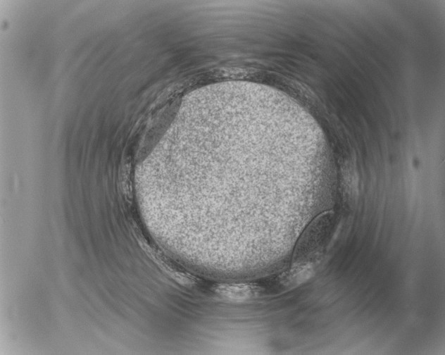 X0000054440181200508270022