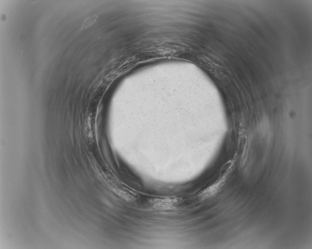 X0000054440182200508270022