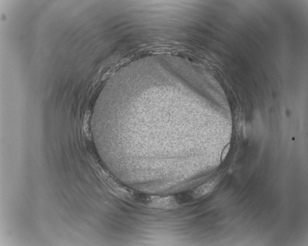 X0000054440185200508270022