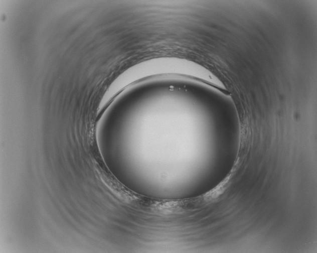 X0000054440186200508270022