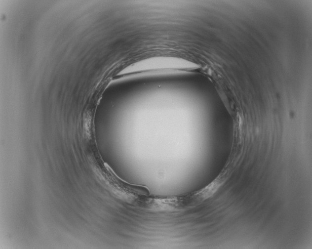 X0000054440188200508270022