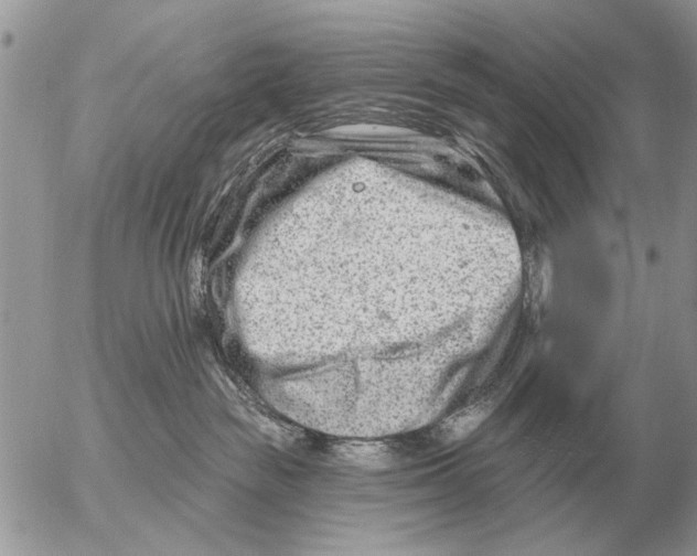 X0000054440189200508270022