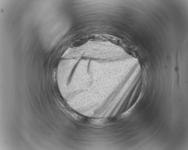 X0000054440191200508270022