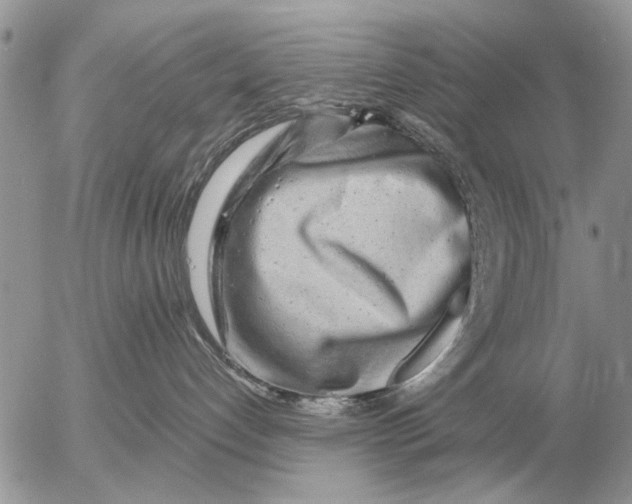 X0000054440192200508270022