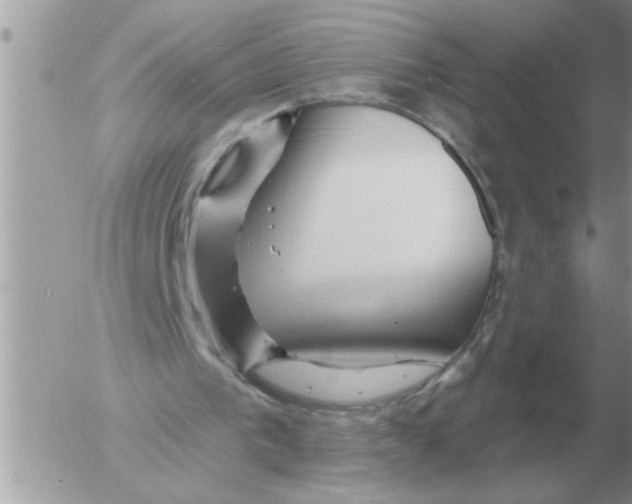 X0000054440193200508270021