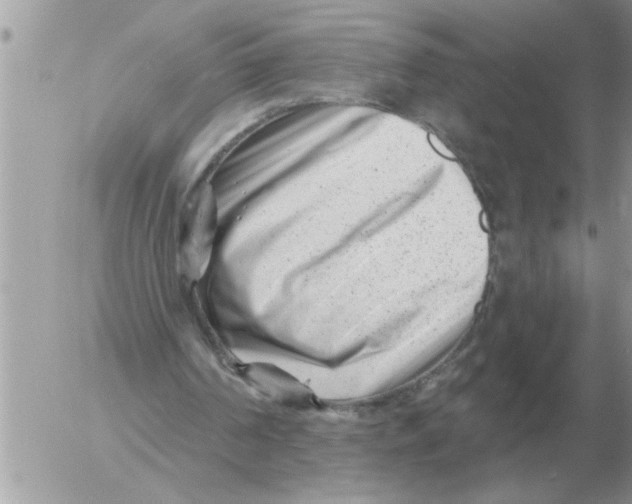 X0000054440194200508270021