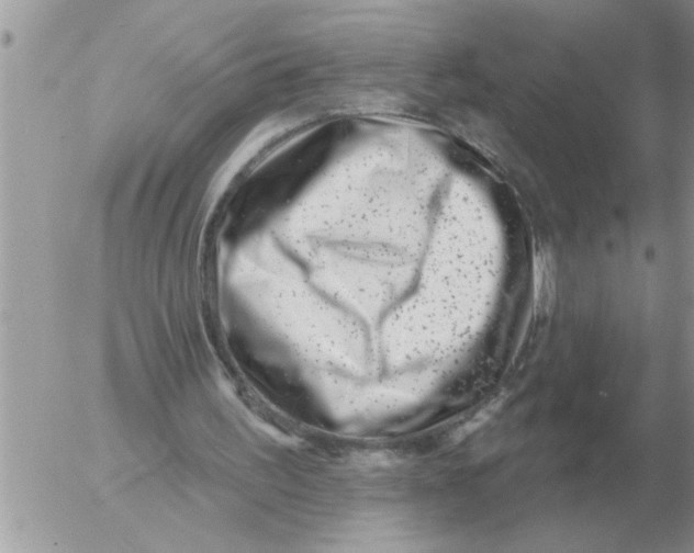 X0000054440195200508270021