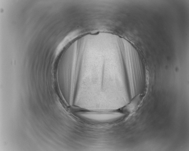 X0000054440198200508270021