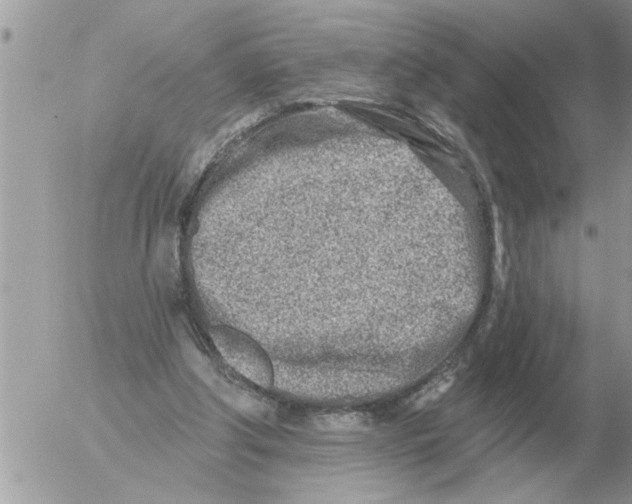 X0000054440202200508270021