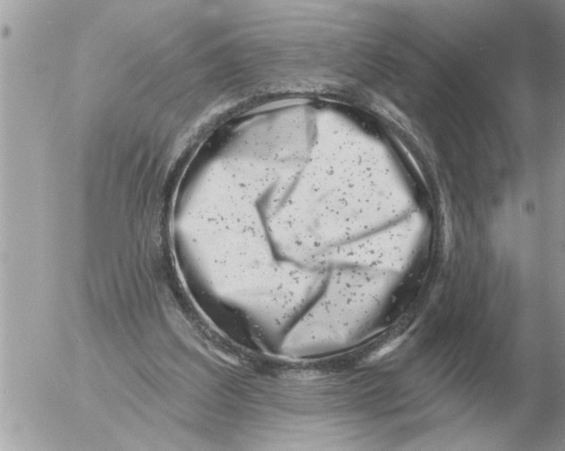 X0000054440203200508270021