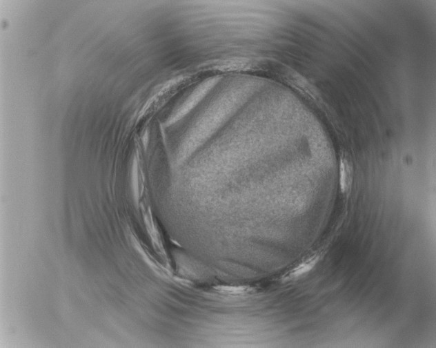 X0000054440205200508270021