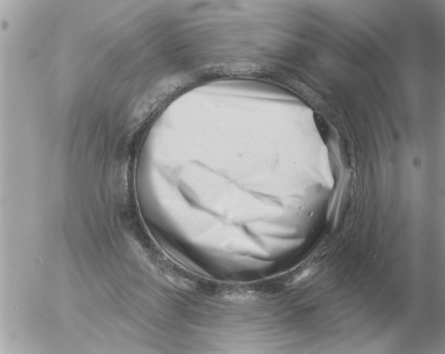 X0000054440206200508270021