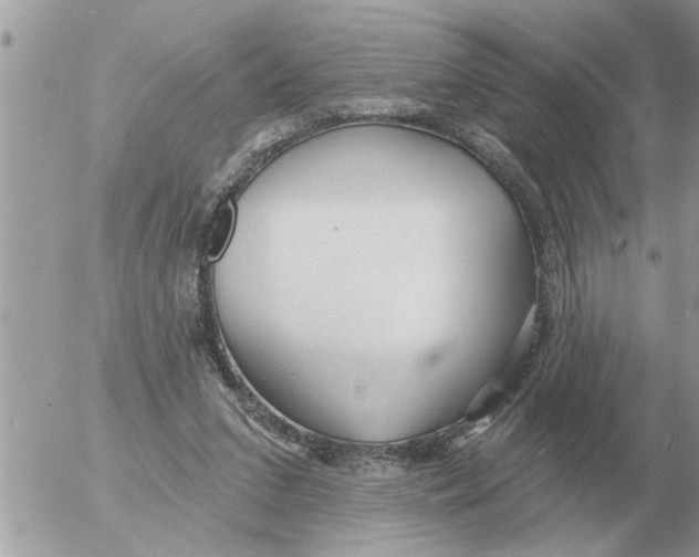 X0000054440207200508270021