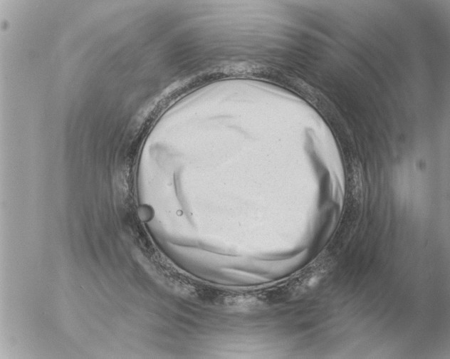 X0000054440208200508270021