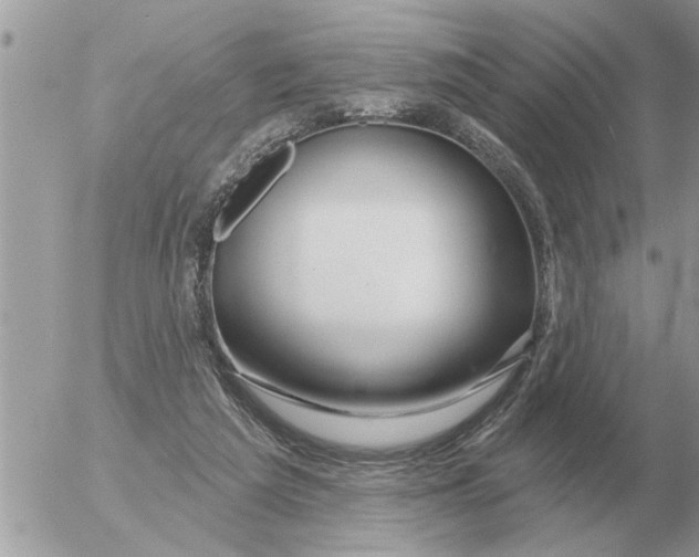 X0000054440209200508270021