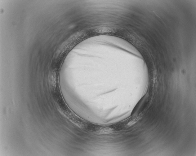 X0000054440210200508270021