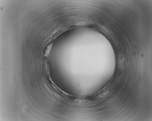 X0000054440211200508270021