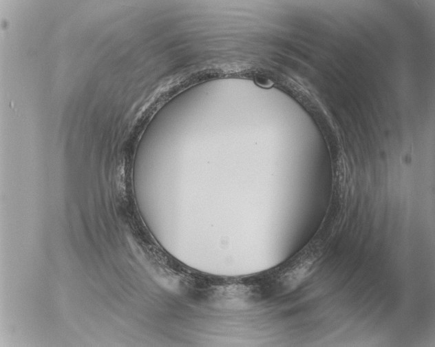 X0000054440212200508270021