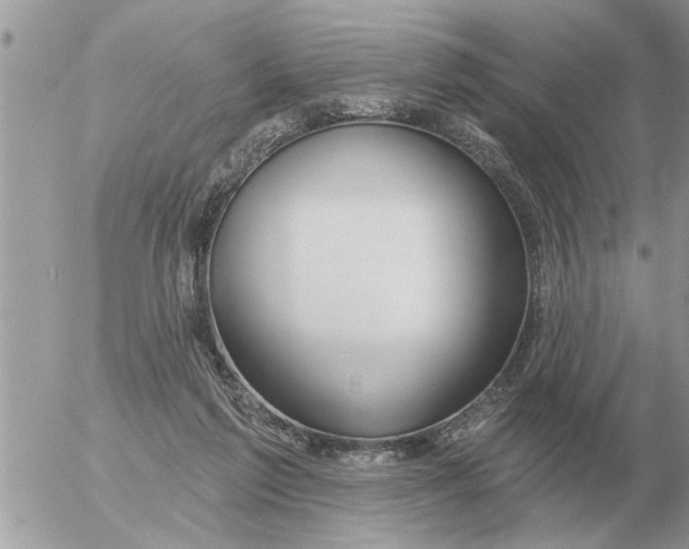 X0000054440213200508270021