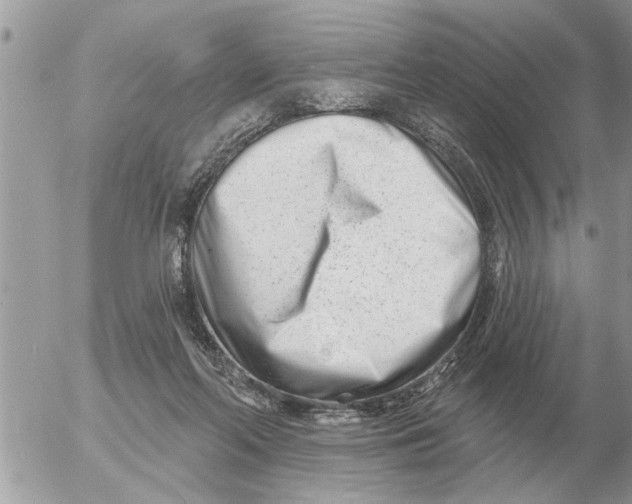 X0000054440214200508270021