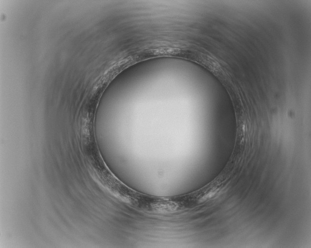 X0000054440215200508270021