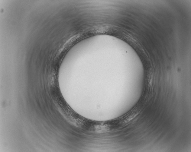 X0000054440216200508270021