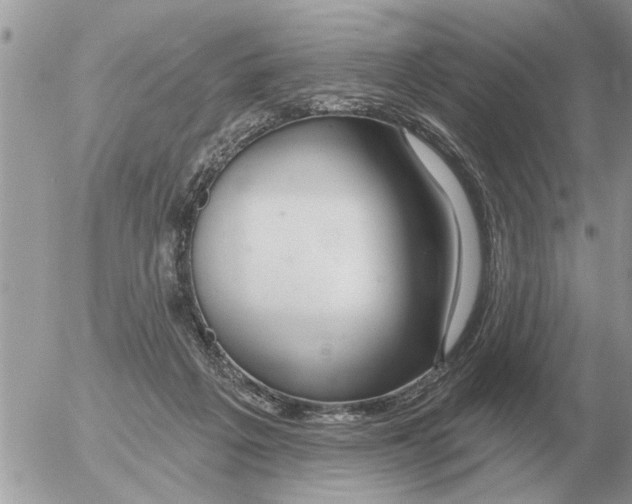 X0000054440217200508270021