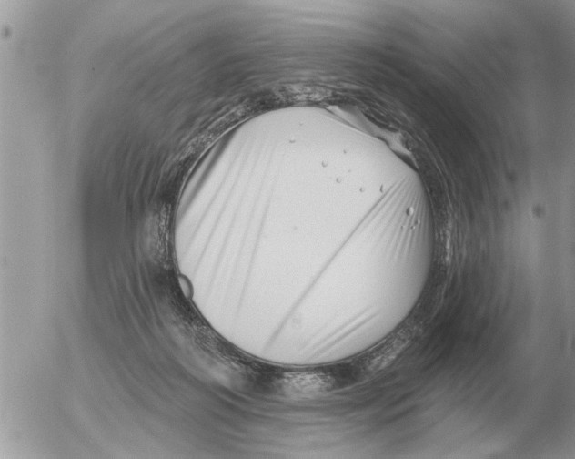 X0000054440218200508270021