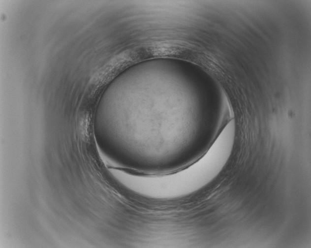 X0000054440219200508270021