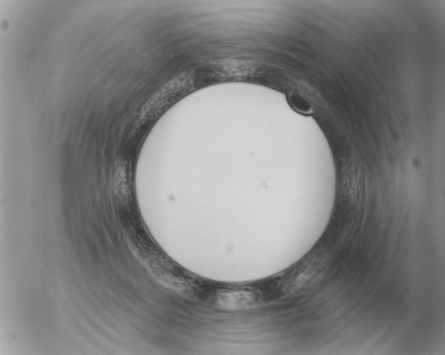 X0000054440220200508270021