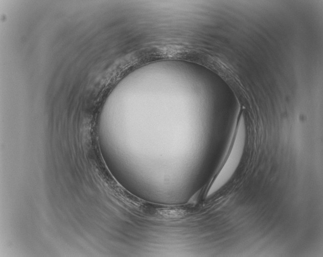 X0000054440221200508270021