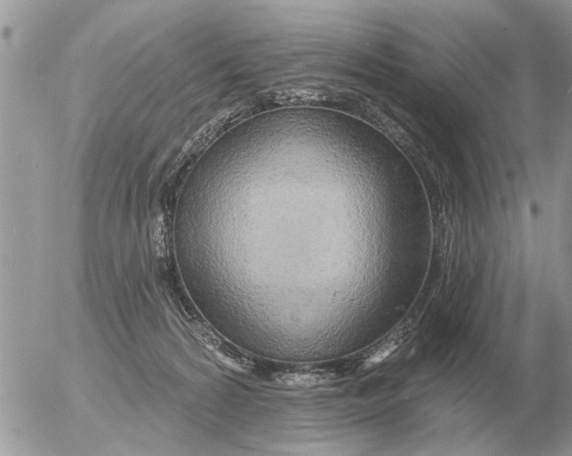 X0000054440224200508270021