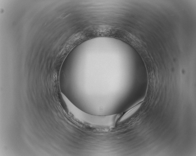 X0000054440225200508270021