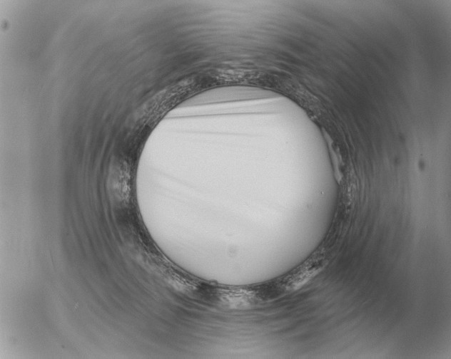 X0000054440226200508270021