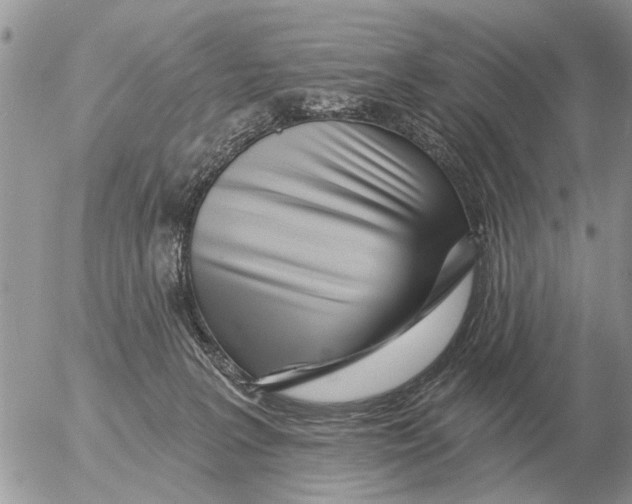 X0000054440227200508270021