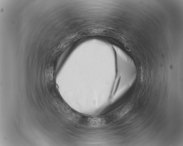 X0000054440230200508270021