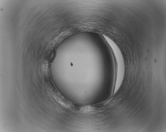 X0000054440231200508270021