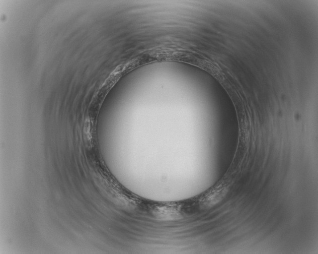 X0000054440232200508270021