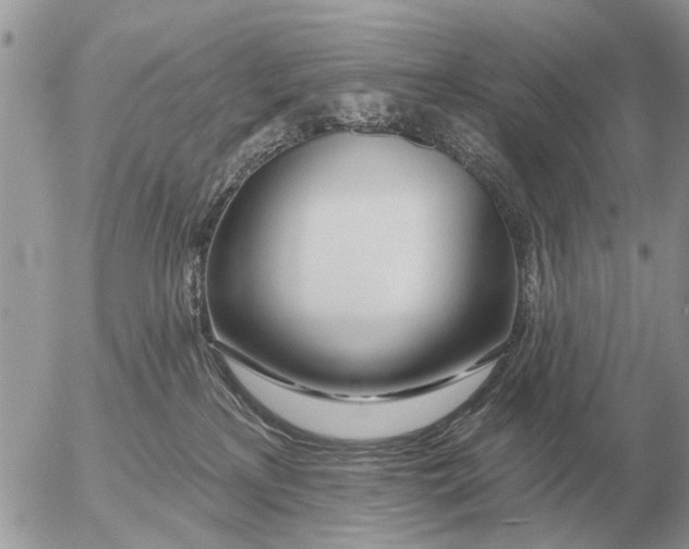 X0000054440233200508270021