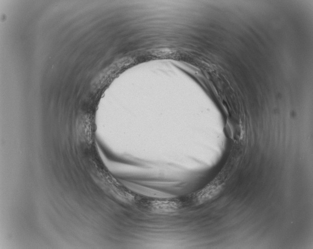 X0000054440234200508270020