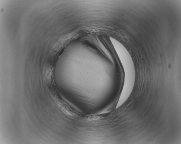 X0000054440235200508270020