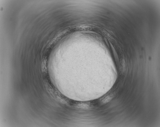 X0000054440236200508270020