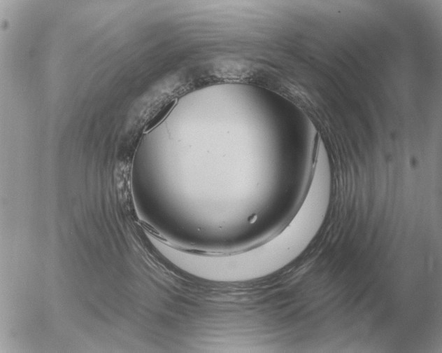 X0000054440237200508270020