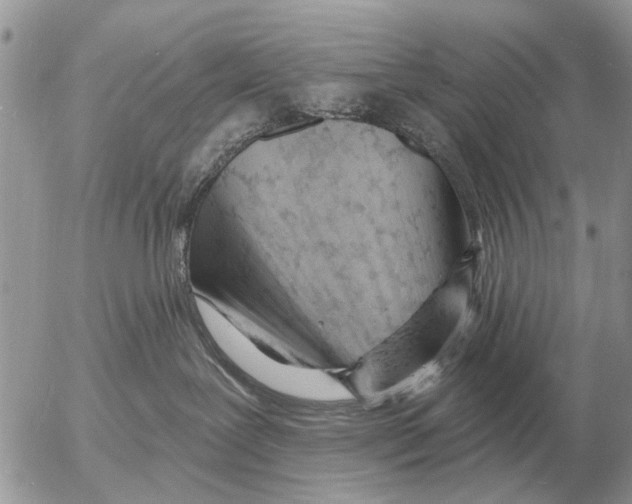 X0000054440239200508270020