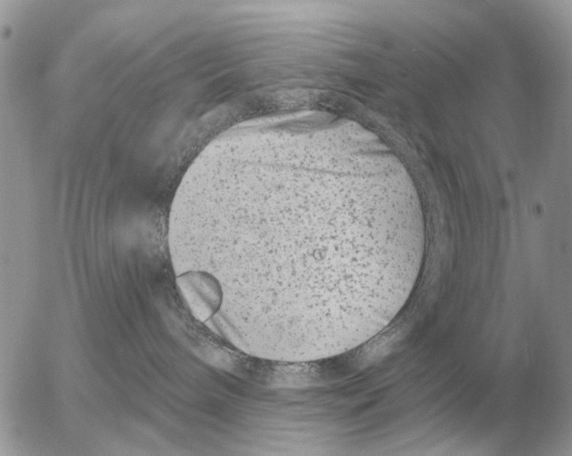 X0000054440240200508270020