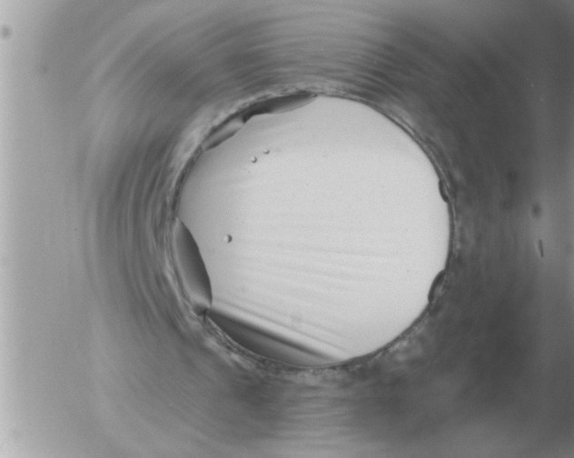 X0000054440241200508270020