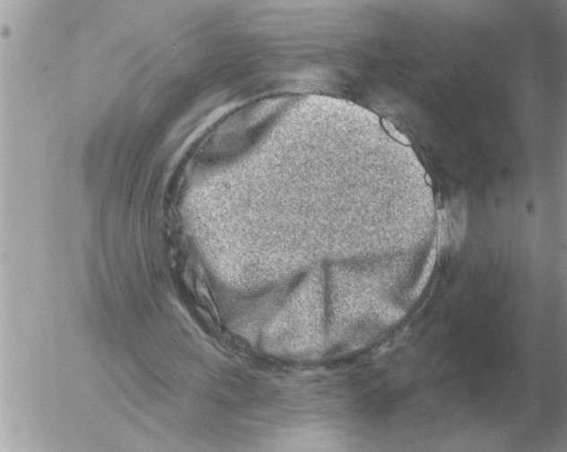 X0000054440243200508270020