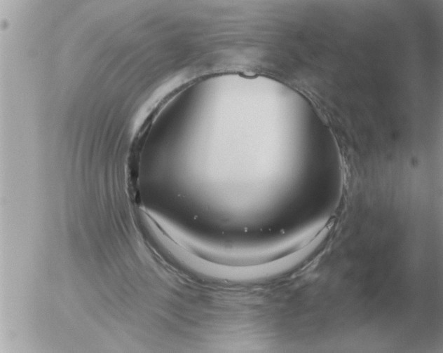 X0000054440244200508270020