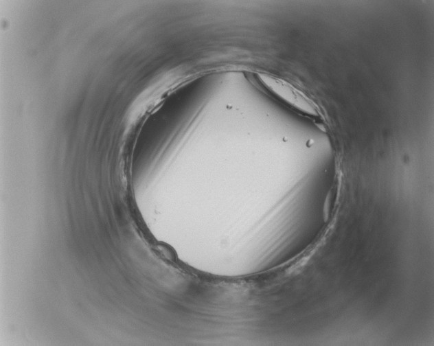 X0000054440245200508270020